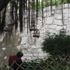 Macau (Nov 10)