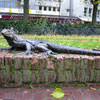 Holland