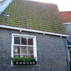 Holland