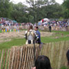 Mediaeval Festival