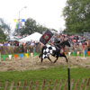 Mediaeval Festival