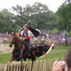 Mediaeval Festival