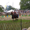 Mediaeval Festival