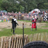 Mediaeval Festival