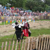Mediaeval Festival