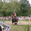 Mediaeval Festival