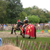 Mediaeval Festival