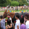 Mediaeval Festival