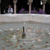 The Cloisters