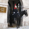 Horse Guards