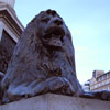 Trafalgar Square