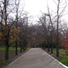 Greenwich Park