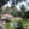 Peering over the fence into the Japanese Hill-and-Pond Garden