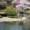 Japanese Hill-and-Pond Garden: Snow-viewing lantern on Turtle Island