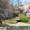 Japanese Hill-and-Pond Garden: Drum Bridge, Turtle Island
