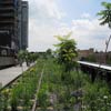 High Line