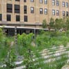High Line
