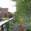 High Line