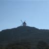 Consuegra
