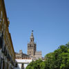 Seville